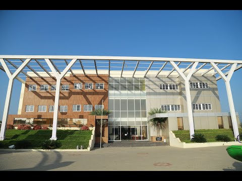 SRV International School